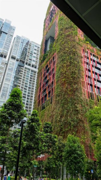 Terasmetsast linnametsaks