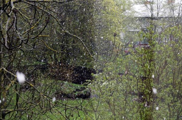 Mis on see kliima, mis muutub?