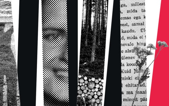 Kohe-kohe: „Prima vista“ ja „Inimene Visnapuu“