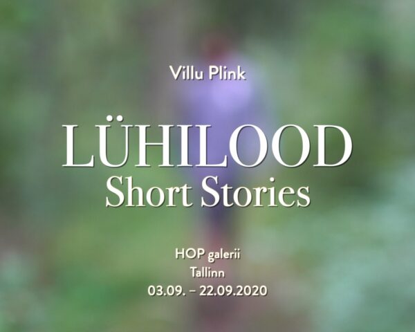 Villu Plink “Lühilood” Hop galeriis