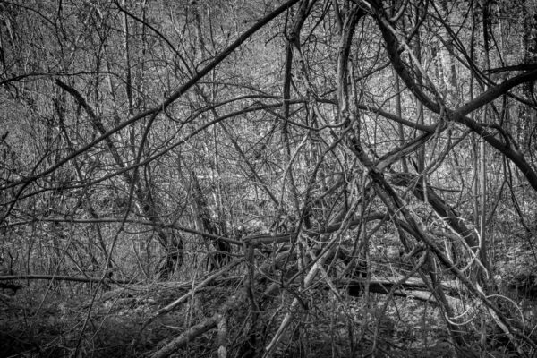 Arne Maasik Tartu Kunstimajas