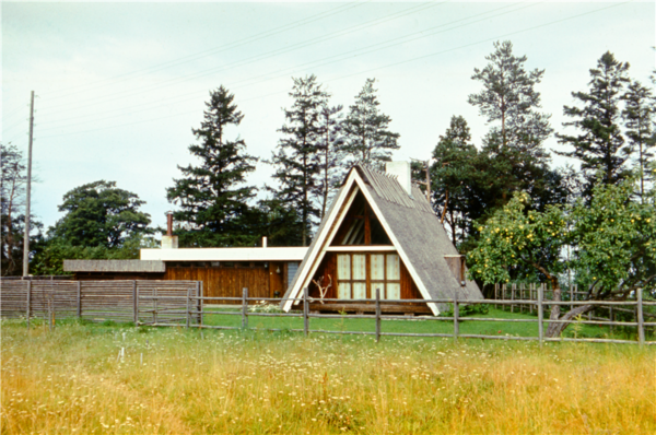 Puhata ja m&auml;ngida