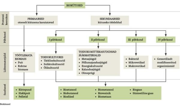 Biok&uuml;tused, Eesti avastamata kuld