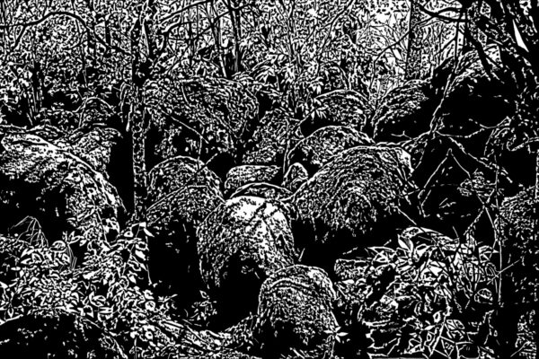 Ove Maidla näitus Tartu Kunstimajas