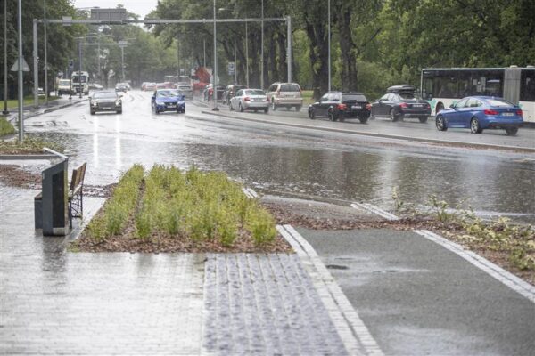 Parem linnaruum saab alguse v&auml;&auml;rtushinnangutest