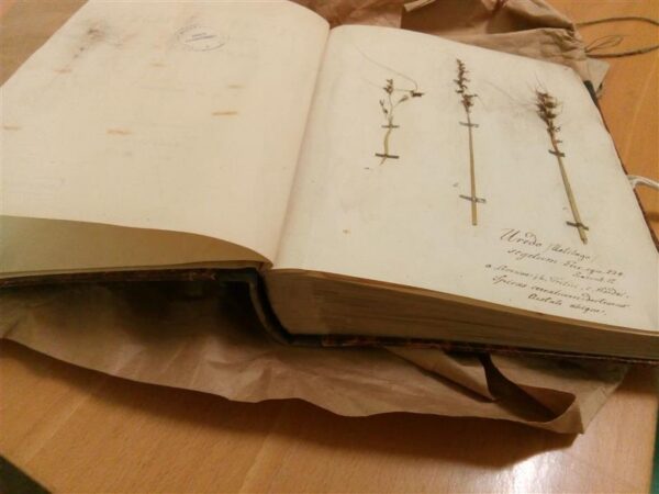 200 aastat end Eestiga sidunud  tegusa mehe s&uuml;nnist