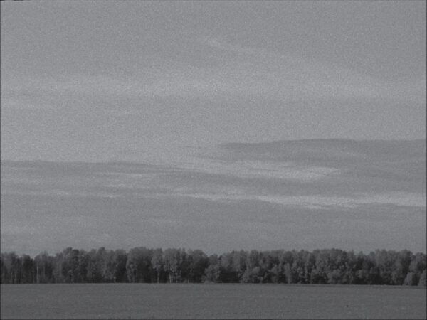 Taavi Talve näitus Tartu Kunstimajas