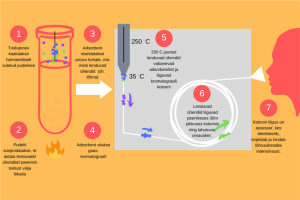 L&otilde;hnamaailma ekspert