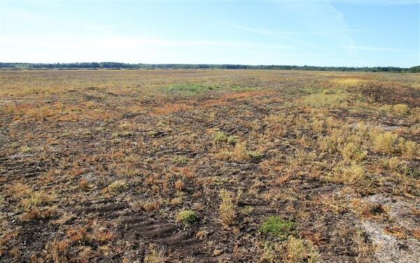 Gl&uuml;fosaadisaaga j&auml;tkub II