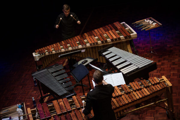 V&auml;relev ja pol&uuml;fooniline &otilde;htu P&auml;rnus