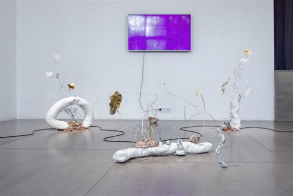 P&otilde;hja- ja Baltimaade noore kunstniku autasu l&auml;ks L&auml;tti