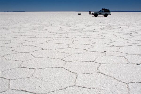 Konservatiivne rohep&ouml;&ouml;re