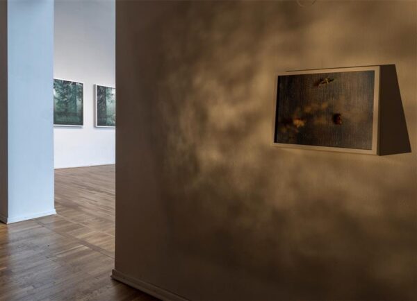 Astuge sisse, liuelge v&auml;lja