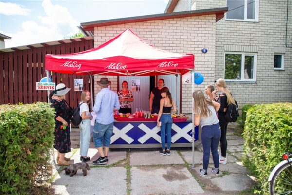 V&auml;ikelinna eluj&otilde;u taastamine