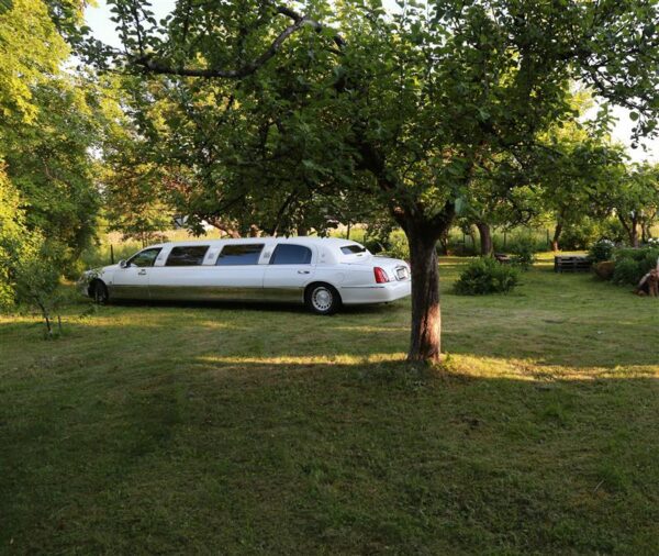 Milleks venitada,  kui p&auml;&auml;su ei ole?