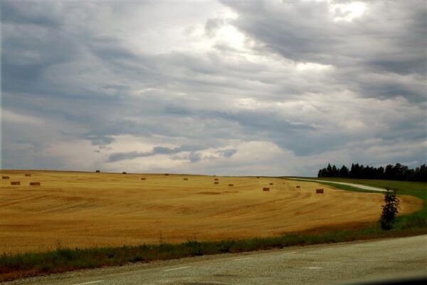 Ernst Enno ja suvised L&otilde;una-Eesti teed