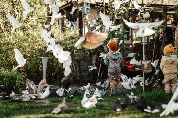 Lasnam&auml;e Kurep&otilde;llu t&uuml;hermaa peidetud rikkused