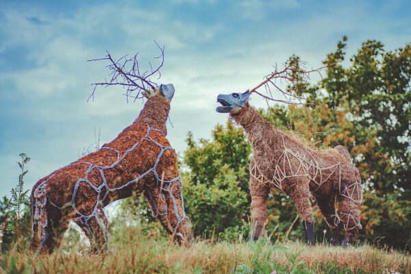 Voronja galerii skulptuuride aeda valiti välja 9 uut teost