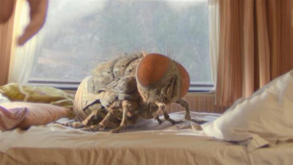 Hiiglaslik k&auml;rbes, muud suurt midagi