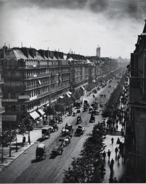 Arhitektuuri looduslugu