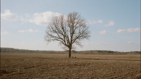 Tartu Kunstimajas avatakse „Näitus kui vestlus“