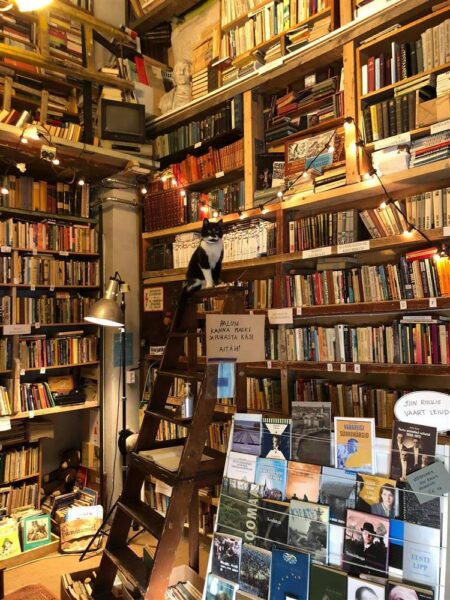 Teavikutest ja teavitusest