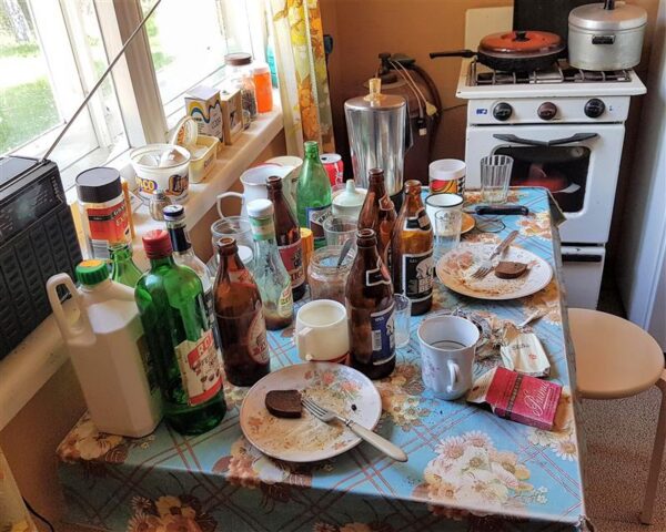 Elu v&otilde;imalikkusest kolhoosimajas