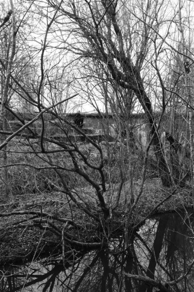 P&uuml;hapaikadest looduse p&uuml;haduseni