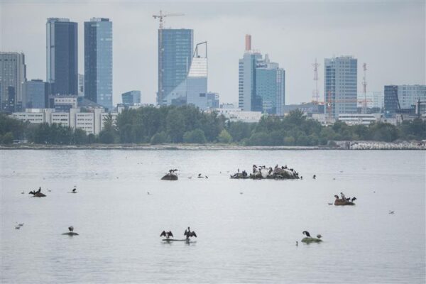 Tulevik tuleb Tallinnas ootamatult