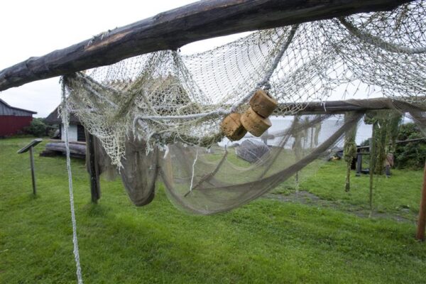 Uus klots teadmiste tornis