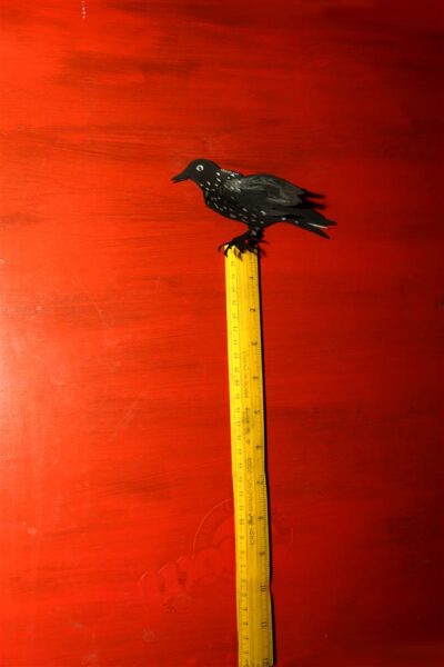 Koroonaaja &bdquo;k&otilde;rge&ldquo;-pandeemia