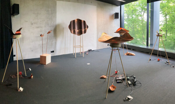 Selgusid Põhjamaade ja Baltikumi noore kunstniku auhinna võitjad