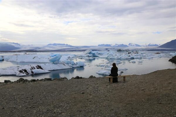 Inimene piiril eri teadusvaldkondade vaates
