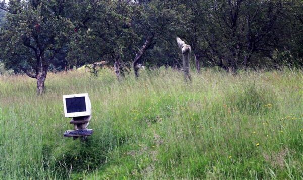 Enam odavamalt ei saa