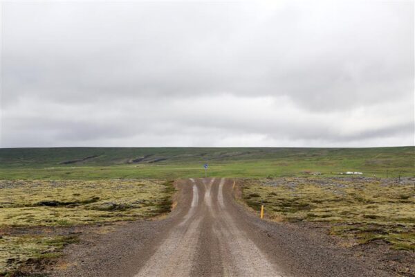 Argidialektika IV.   Meie. Omad