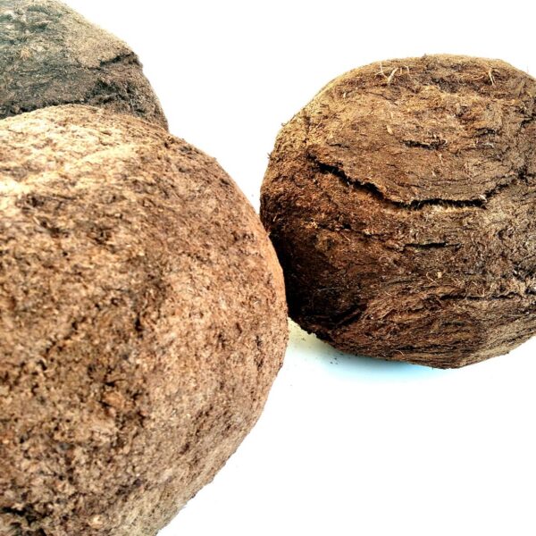 Liina Tepandi näitus “Šokolaad, hedonism ja kliima”