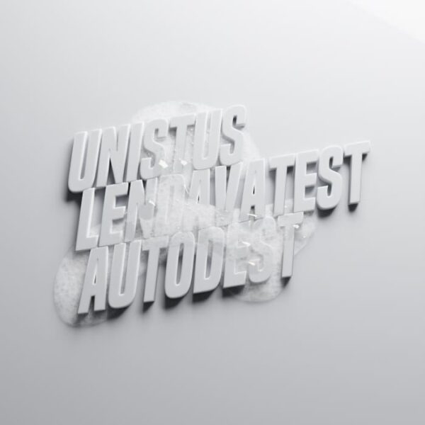 Liina Lelovi „Unistus lendavatest autodest“ A-galerii seifis