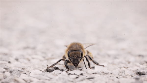 Armastusest koroona ajal