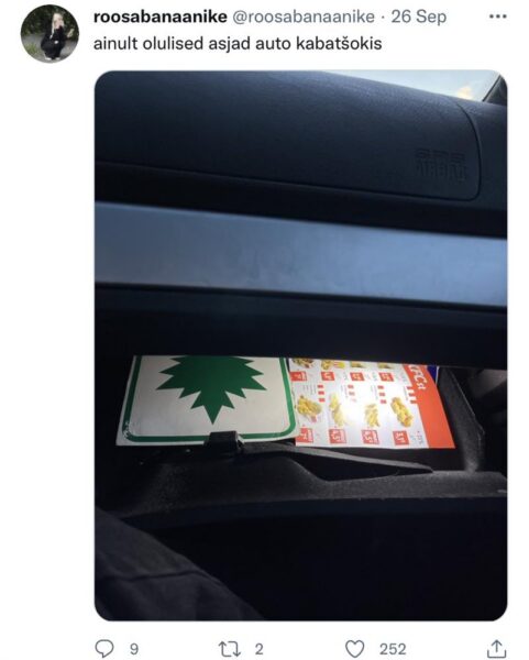 S&otilde;nadest ei saa isu t&auml;is ehk  Elukestva emakeele&otilde;ppe kaitseks