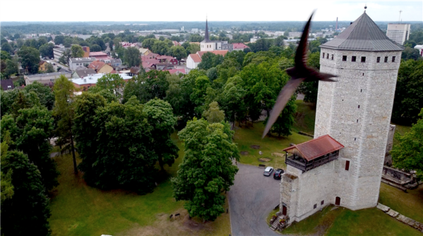 Tuttava linna tuled – Paide avaneb sammhaaval