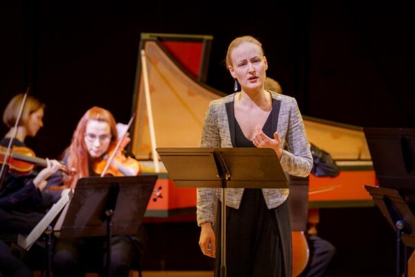 Kaunis varajane muusika tõrvatilkadega meepotis