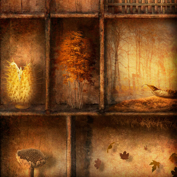 Marge Nelk Tartu Kunstimajas