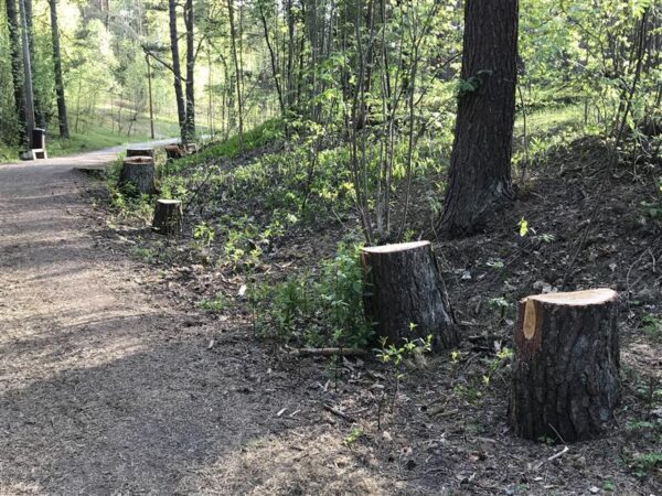 Hingekirurgiast vaimumaastikel