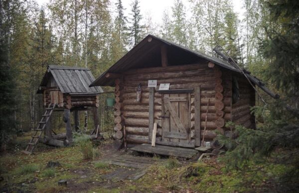 Komid ja arktiline animism