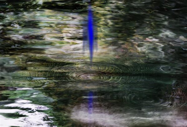 Allaheitliku vallutaja pilk