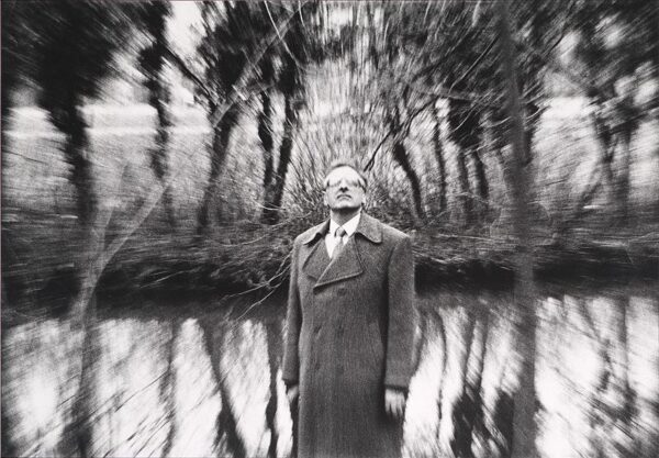 Mastipuu on langenud