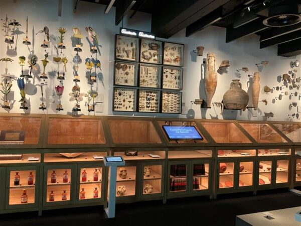 &Uuml;likoolid, muuseumid ja kollektsioonid ehk  Akadeemilise p&auml;randi minevikuraskused ja vastutus