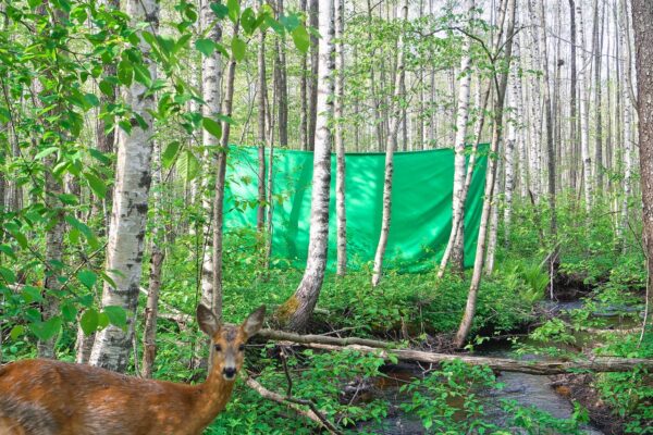 Täna avatakse EKKMis Taavi Suisalu isikunäitus “Tähelepanufiguurid”