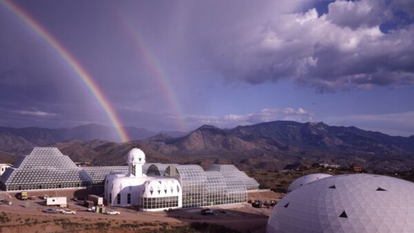 Kumu ekraanil rullub lahti ebatavaline ökoeksperiment