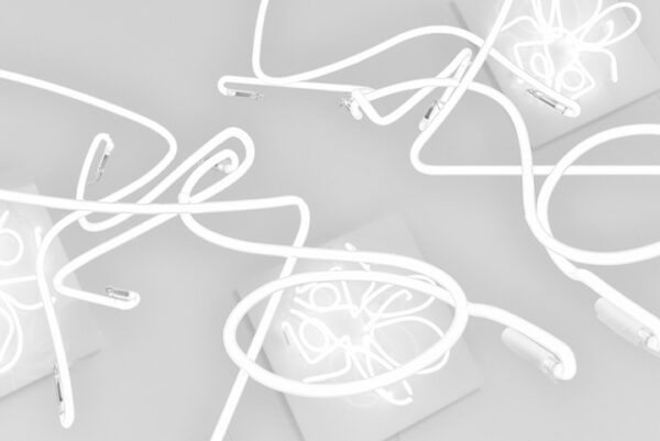 Birgit Pählapuu “Kärbeste mäss” HOP galeriis